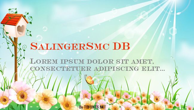 SalingerSmc DB example